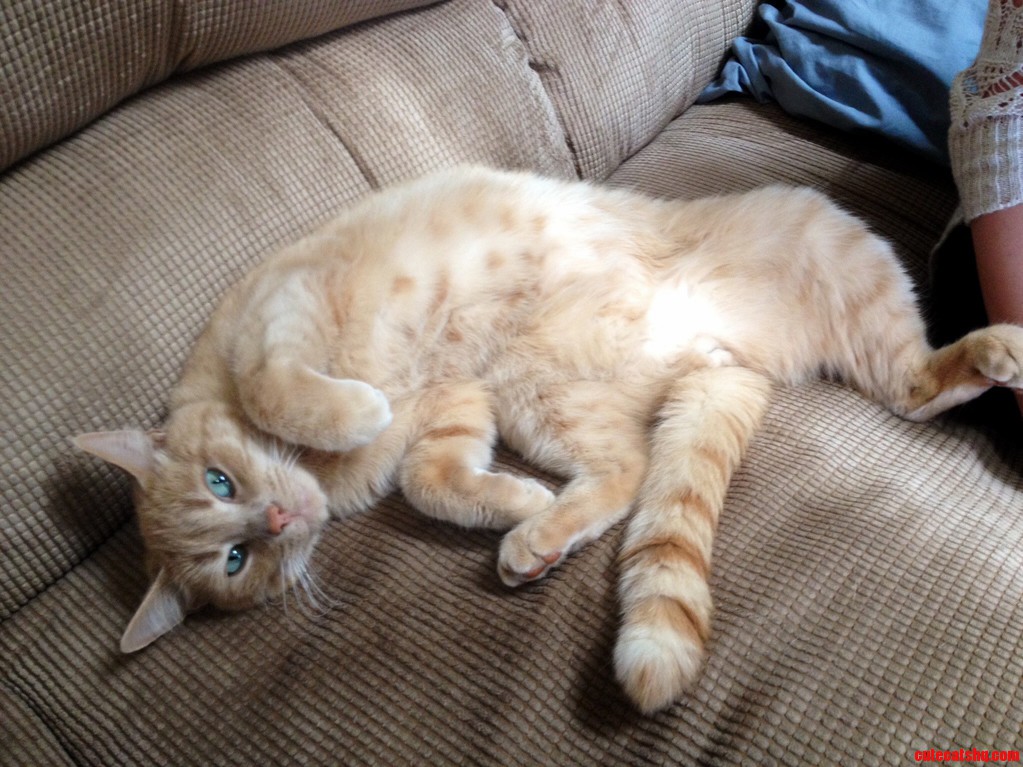 He Lays Like This All the Time