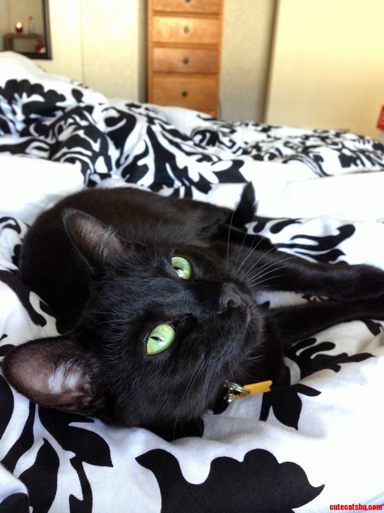 Her Eyes Are So Pretty .