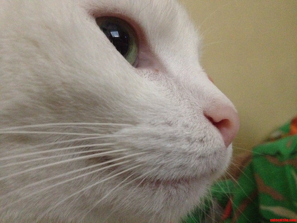 Hes Turning 3 in a Month
