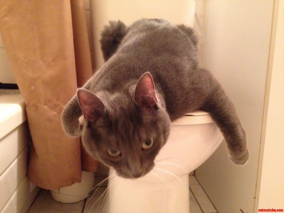 Hey... Hey As Soon As I Get Up Off This Toilet Seat Im Gon...gonna Fight You