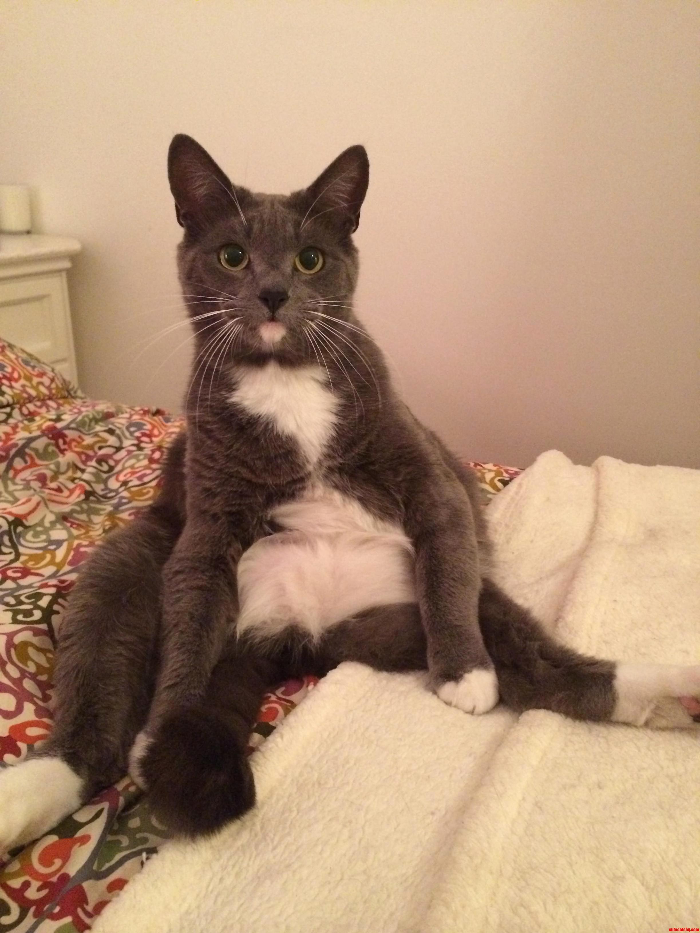 Human Sits...am I Doing It Right Mom