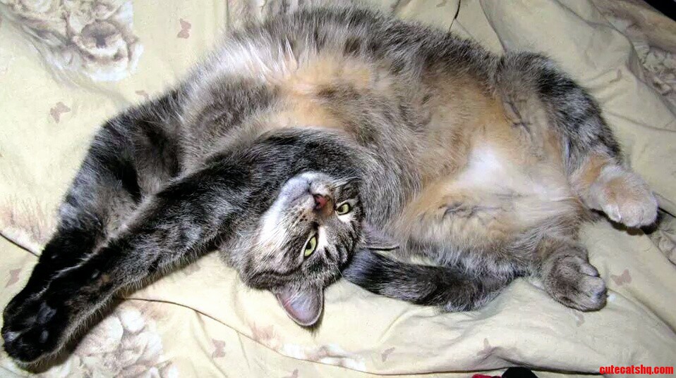 I Believe a Belleh Rub Was Mentioned