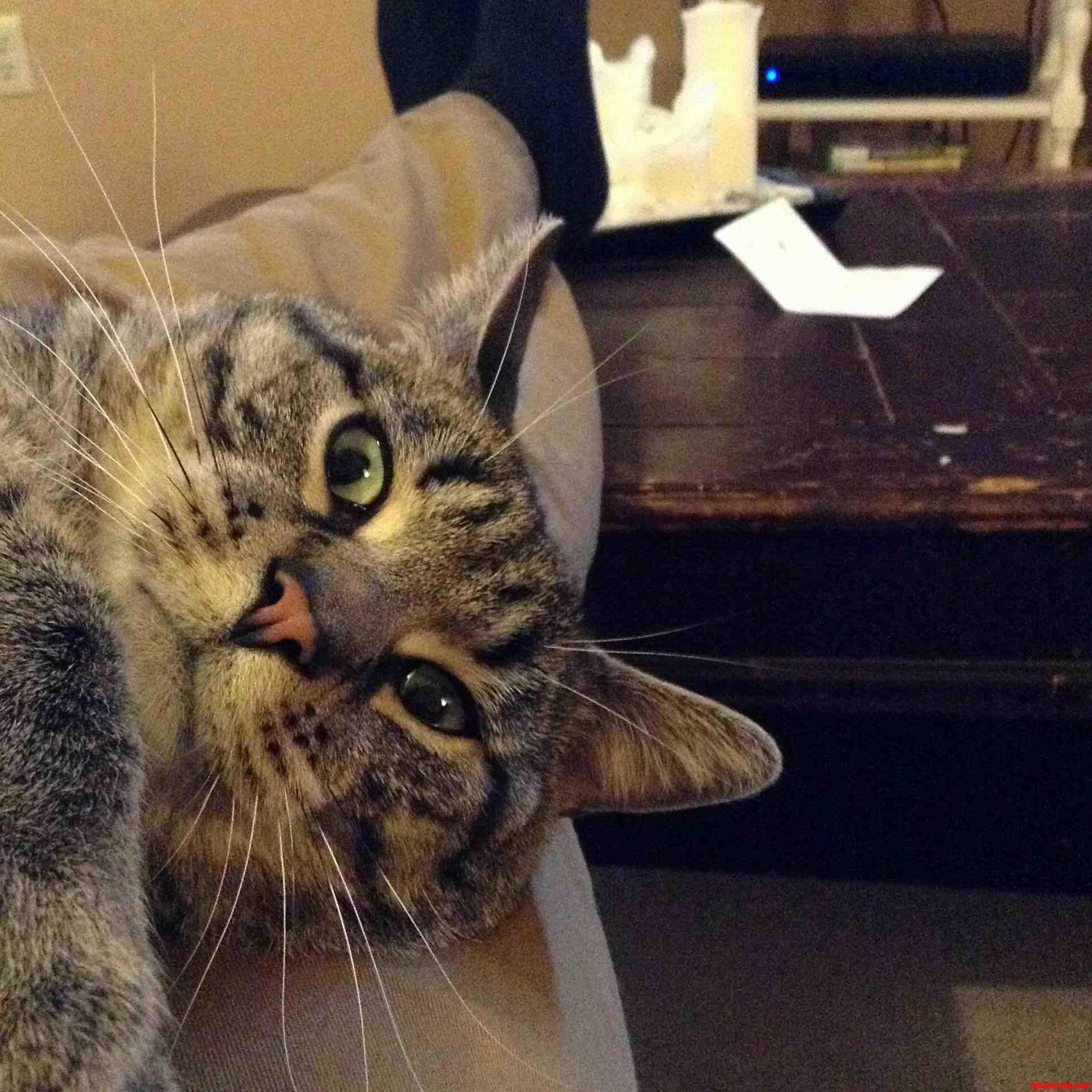 I Love How Awkward He Is Sometimes.