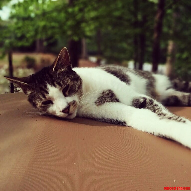 I Made an Account Just to Share This Picture with You Guys Rocky Just Being Rocky.