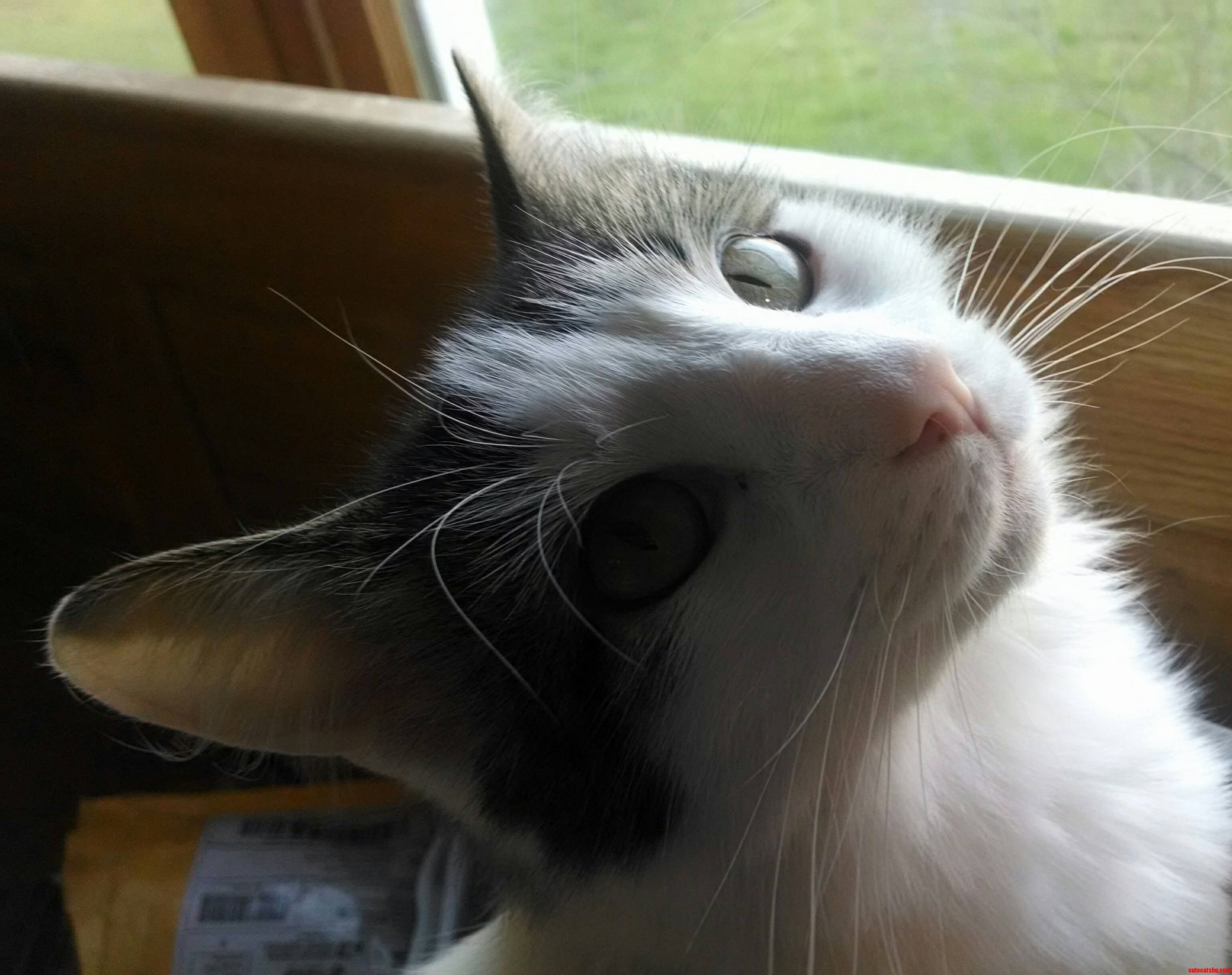 I Think My Boy Is Gorgeous.
