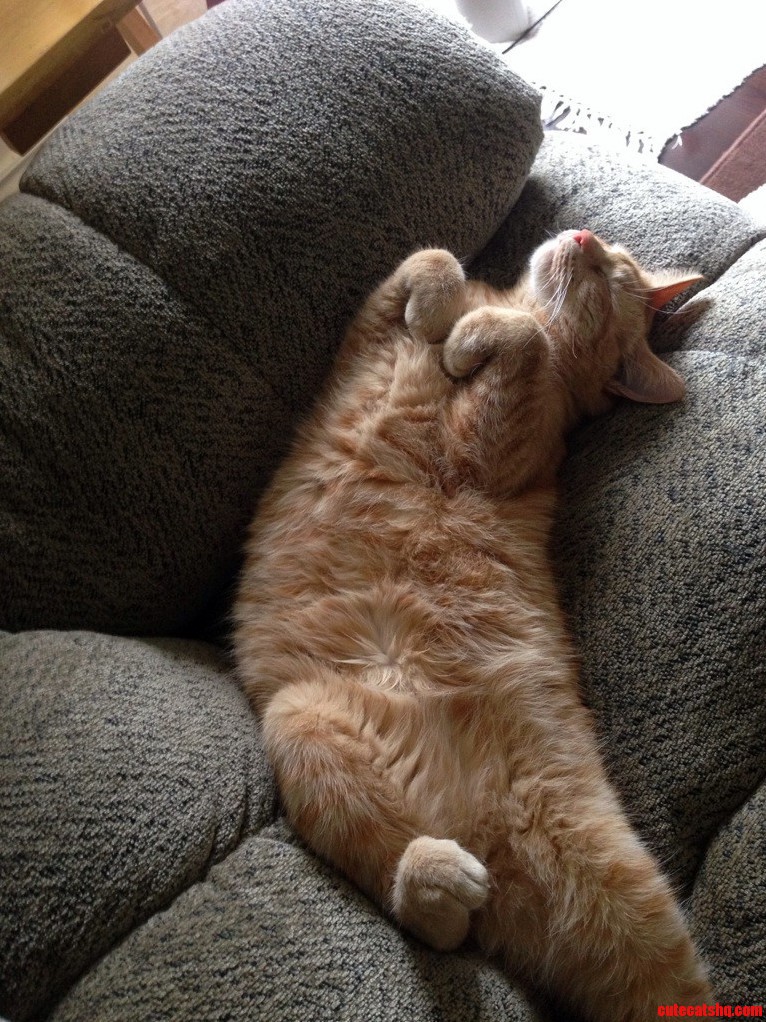 I Think Shes Adjusting to Her New Home Quite Well.