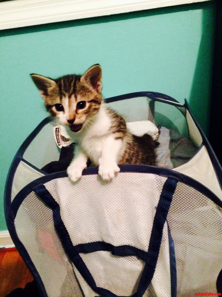 I Think Shes Telling Me to Do the Laundry