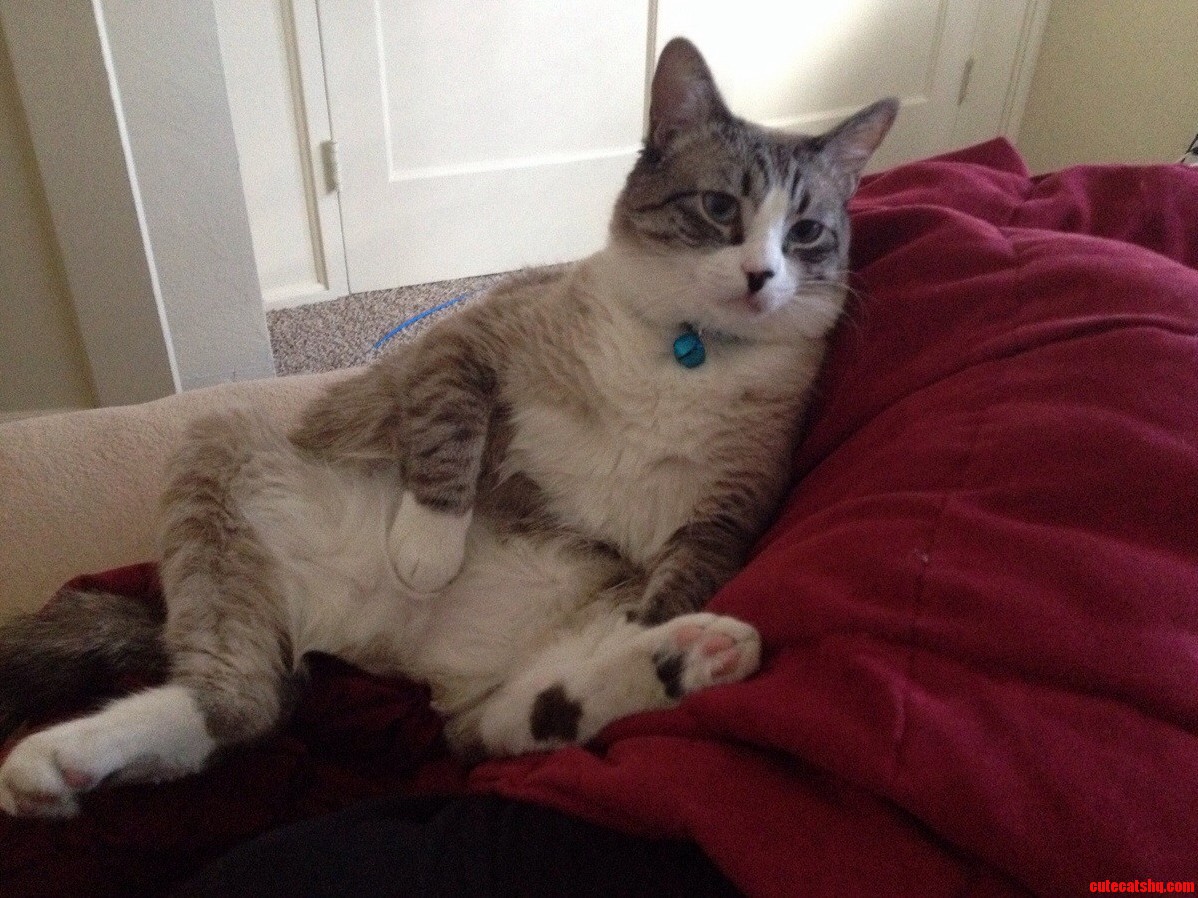 I Woke Up to This Today