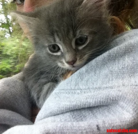 Im His Temporary Mommy