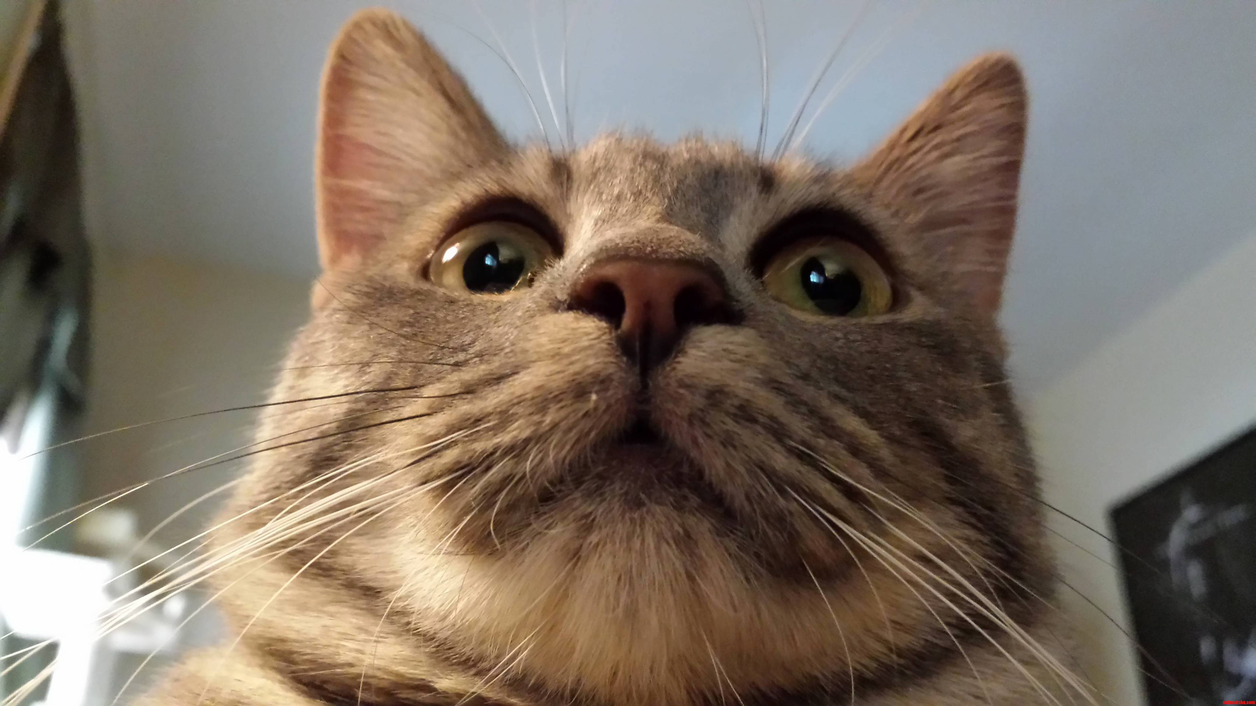 Im Ready for My Closeu-omg Whats That Over There