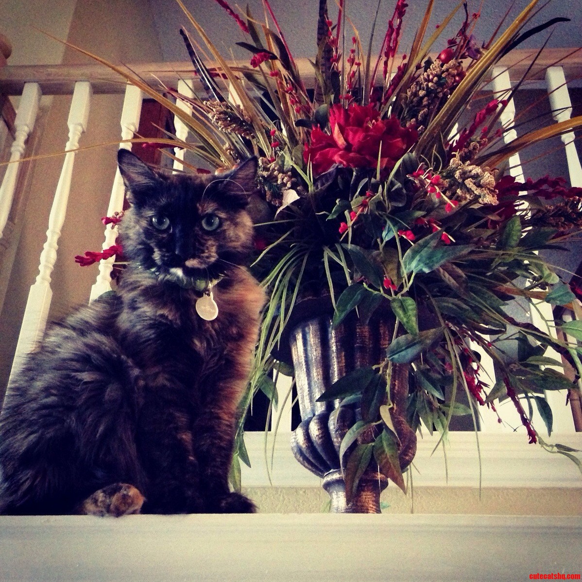 Im Watching You.