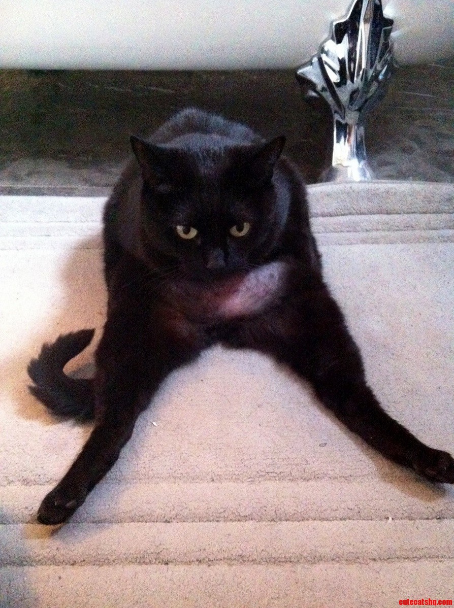 Izzy Stretching It Out...aaaaand Hold.