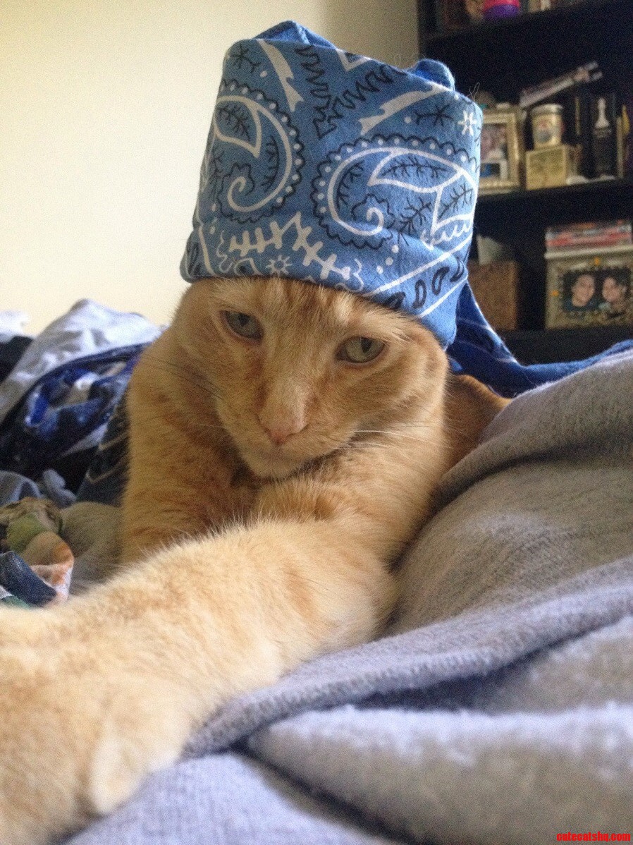 Jake Just Loves Clothes