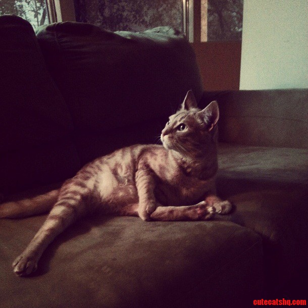 Jon Snow Stretching His Hammies Before a Big Day of Bird Watching