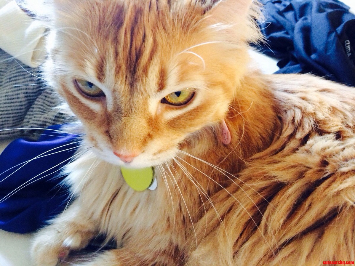 Just Showing Cuddles Some Love. She Turns 18 Today