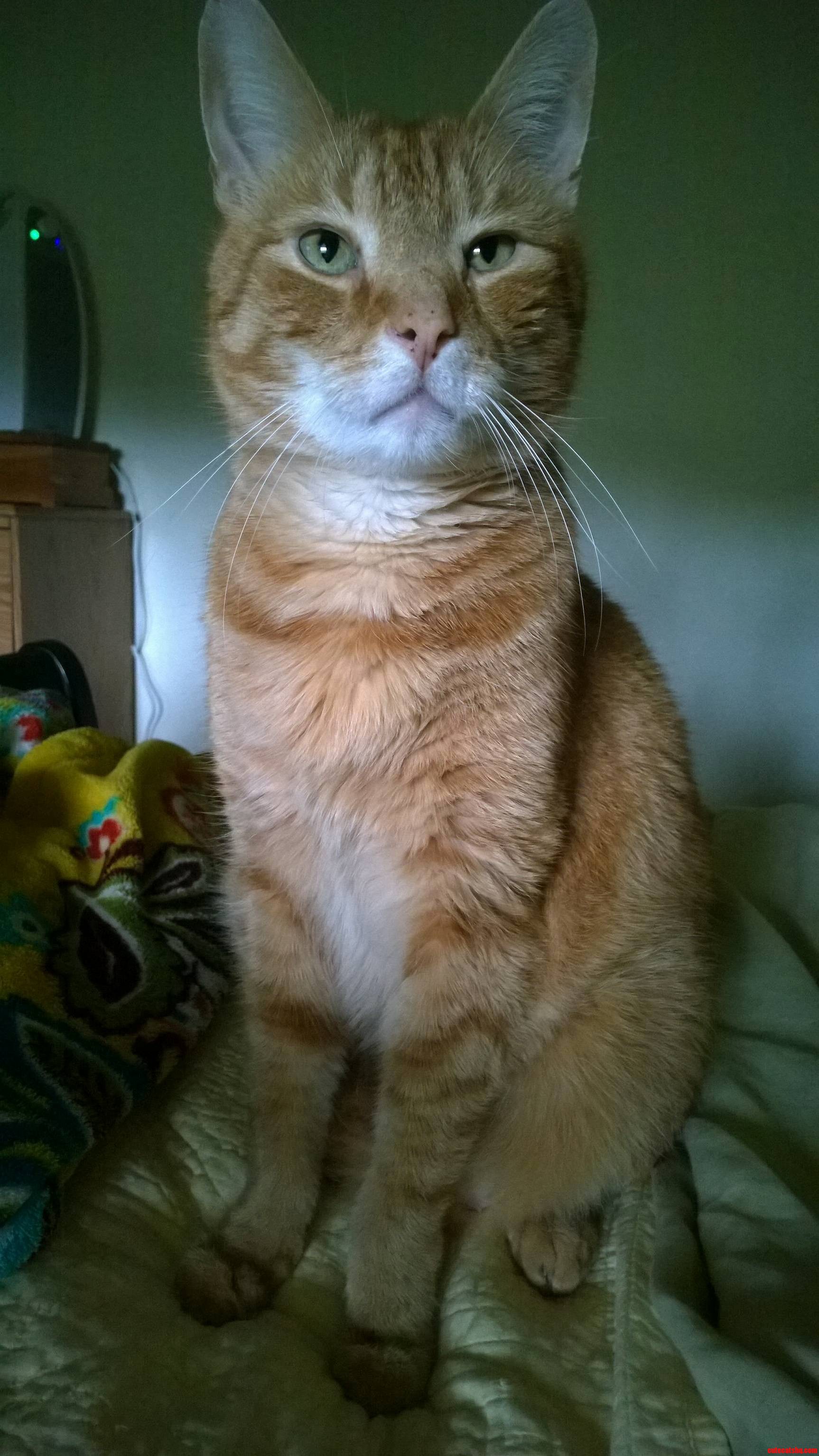 Meet Jack He Knows He Is a Pretty Boy.