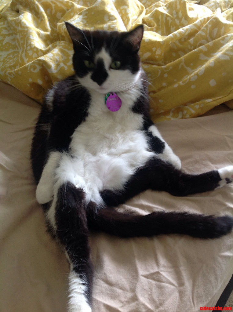 Meet Sam Majestic As Always