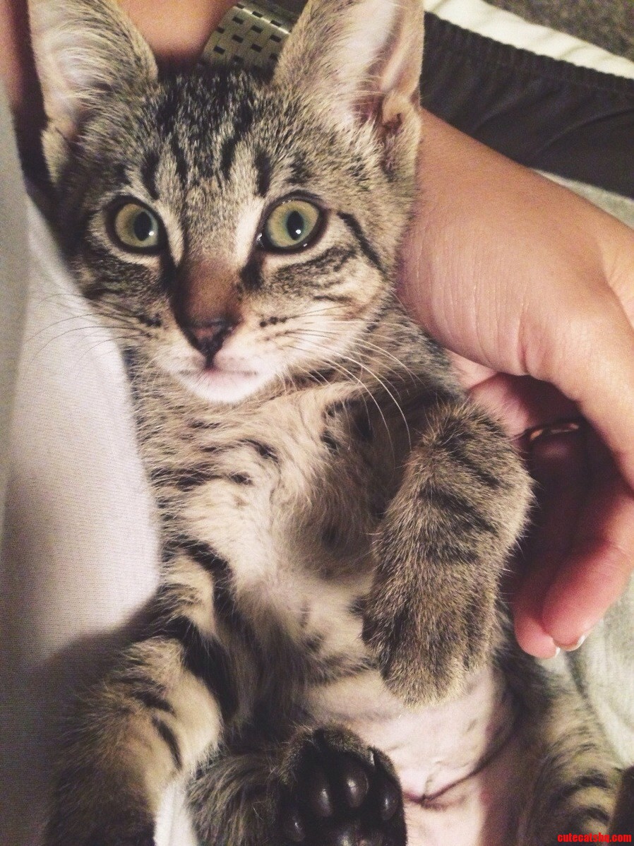 Meet She Needs a Name