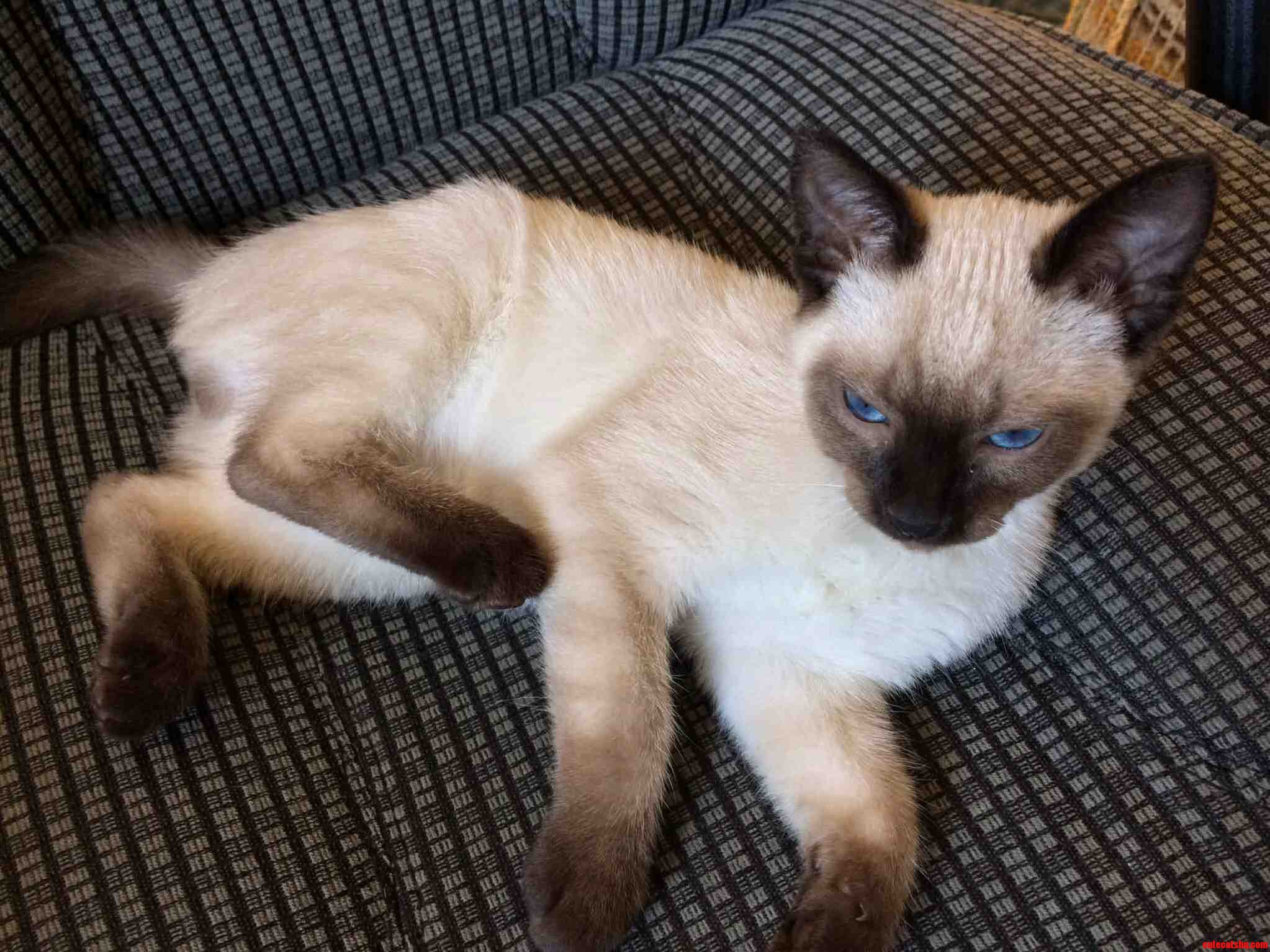 Meet Stuart