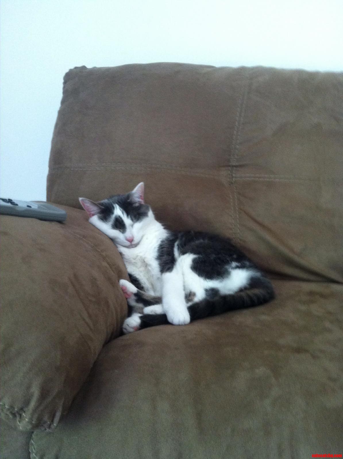 Molly Is Such a Dork