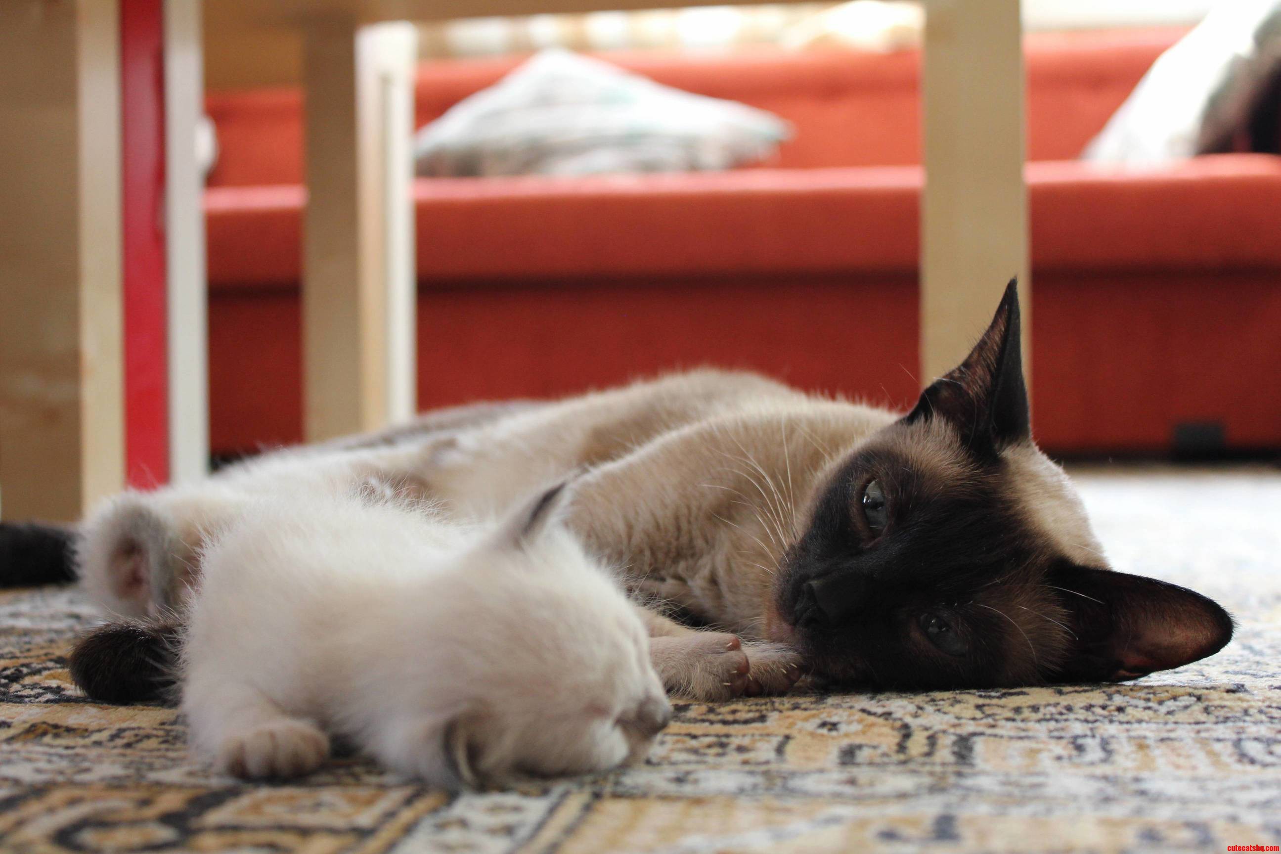 Mother and Daughter