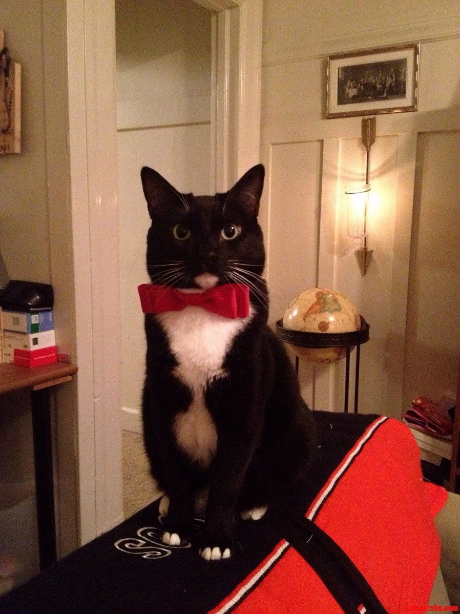Mr. Head Is Ready to Greet Our Guests