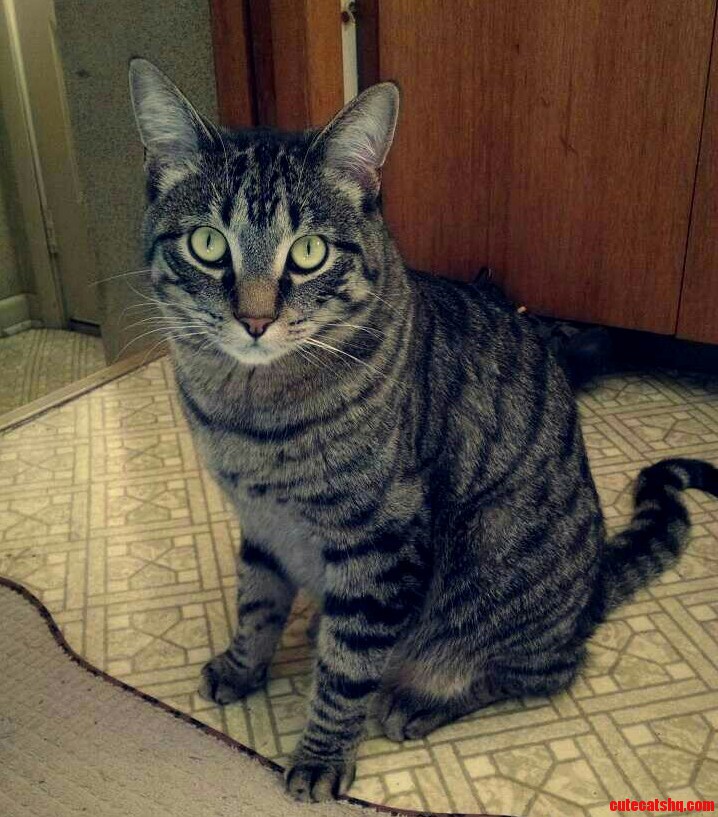 My Boy Stevie Ray