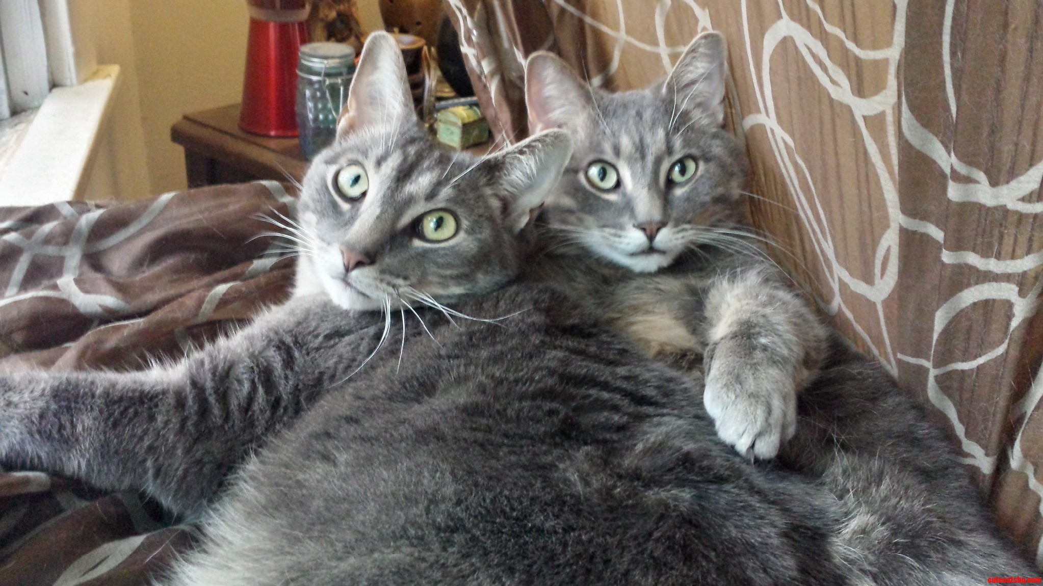 My Boys