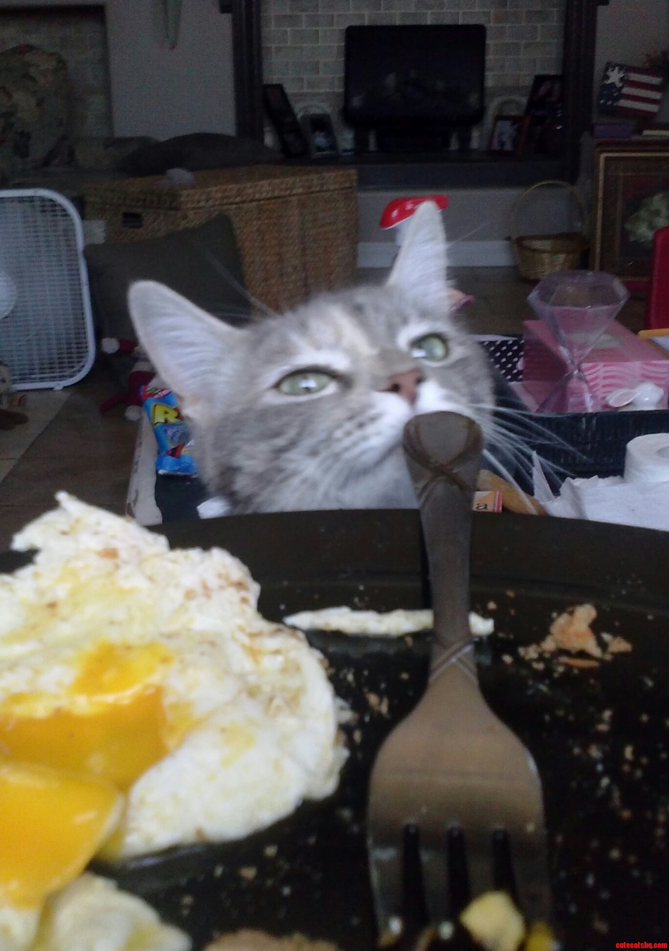 My First Beggar