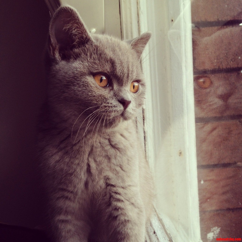 My First Born Son Winston - He Likes to Watch the World Go By.