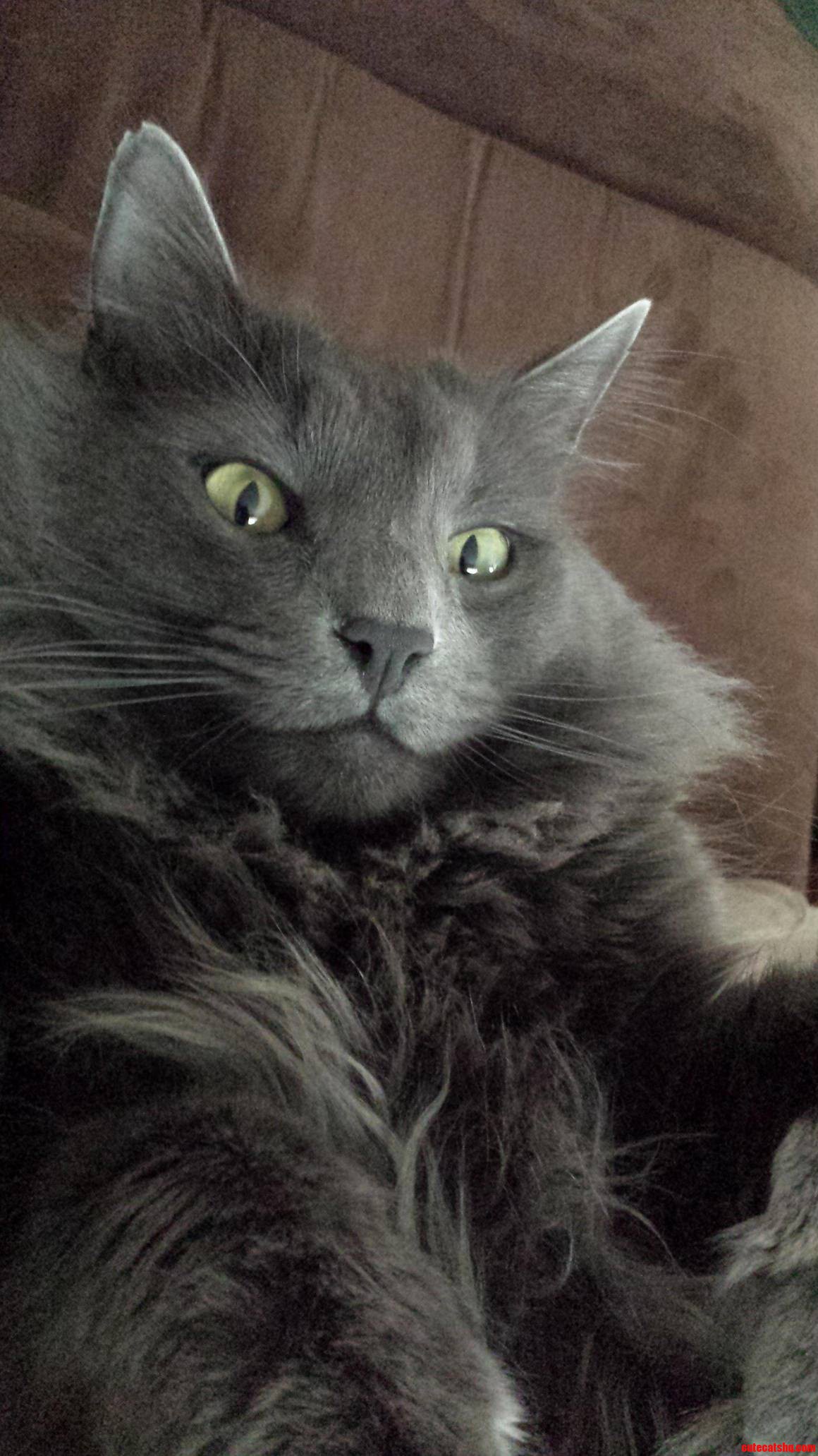 My Fluffy Little Friend Bubba.