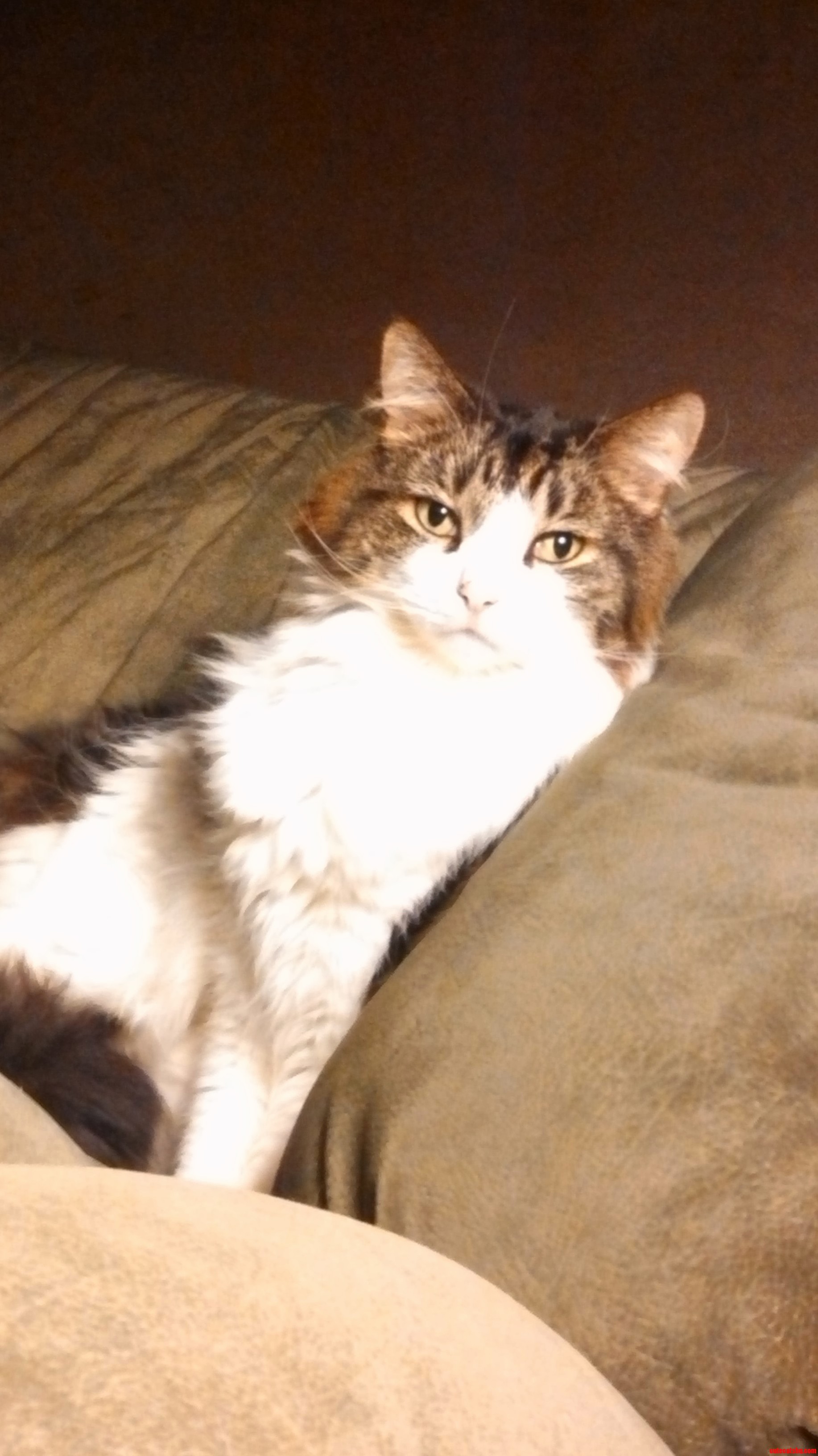 My Photogenic Boy . .
