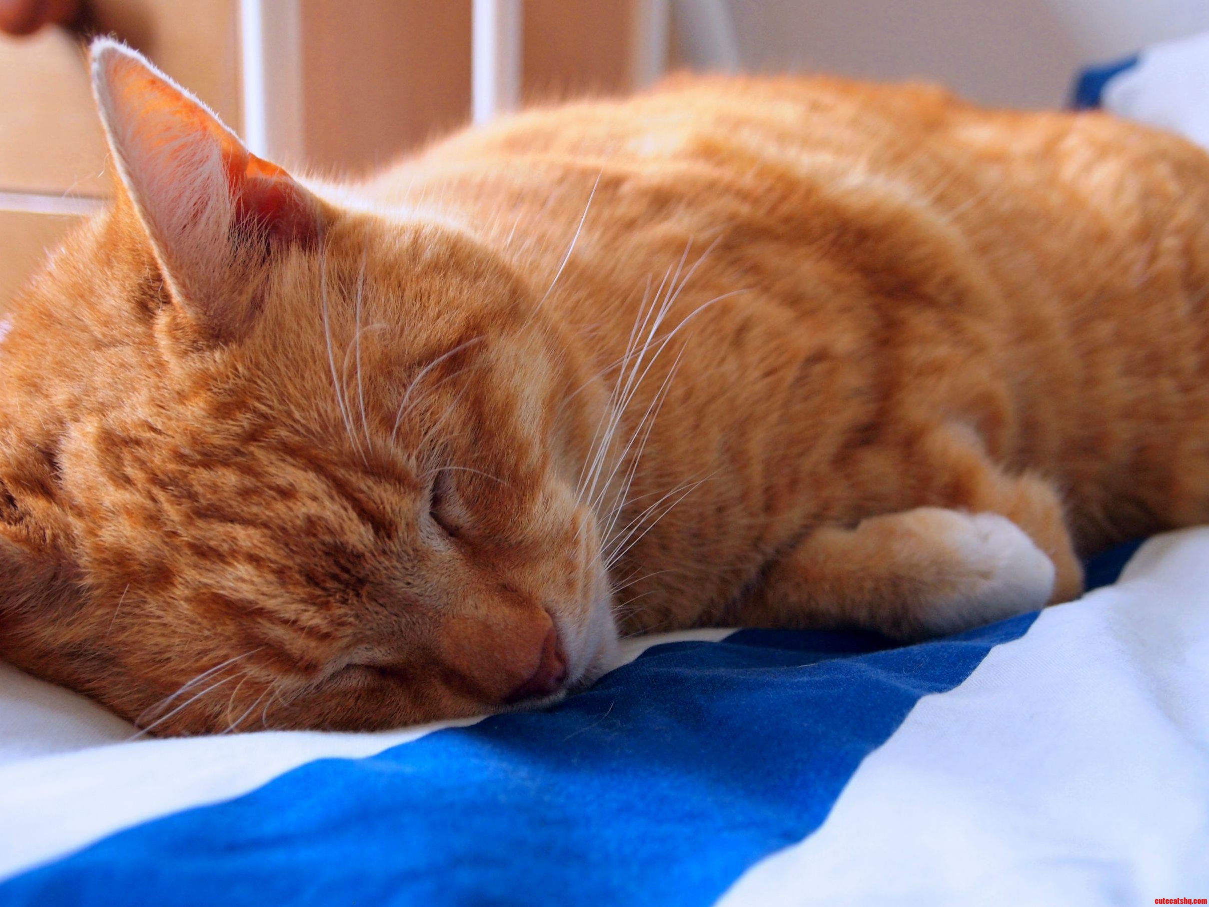 Naptime