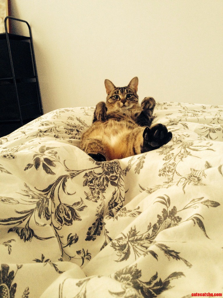 Oh Did You Want to Get Up Now