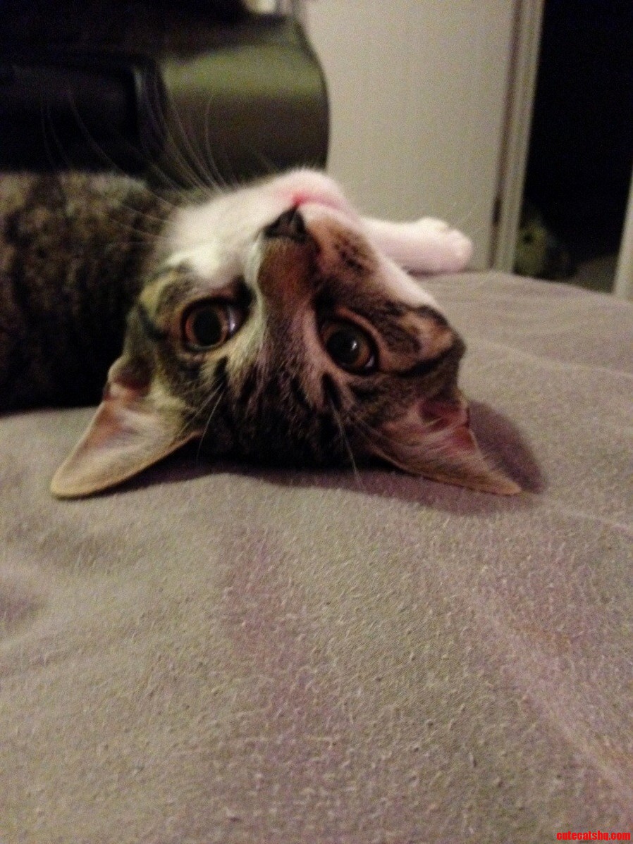 Oh Hey There