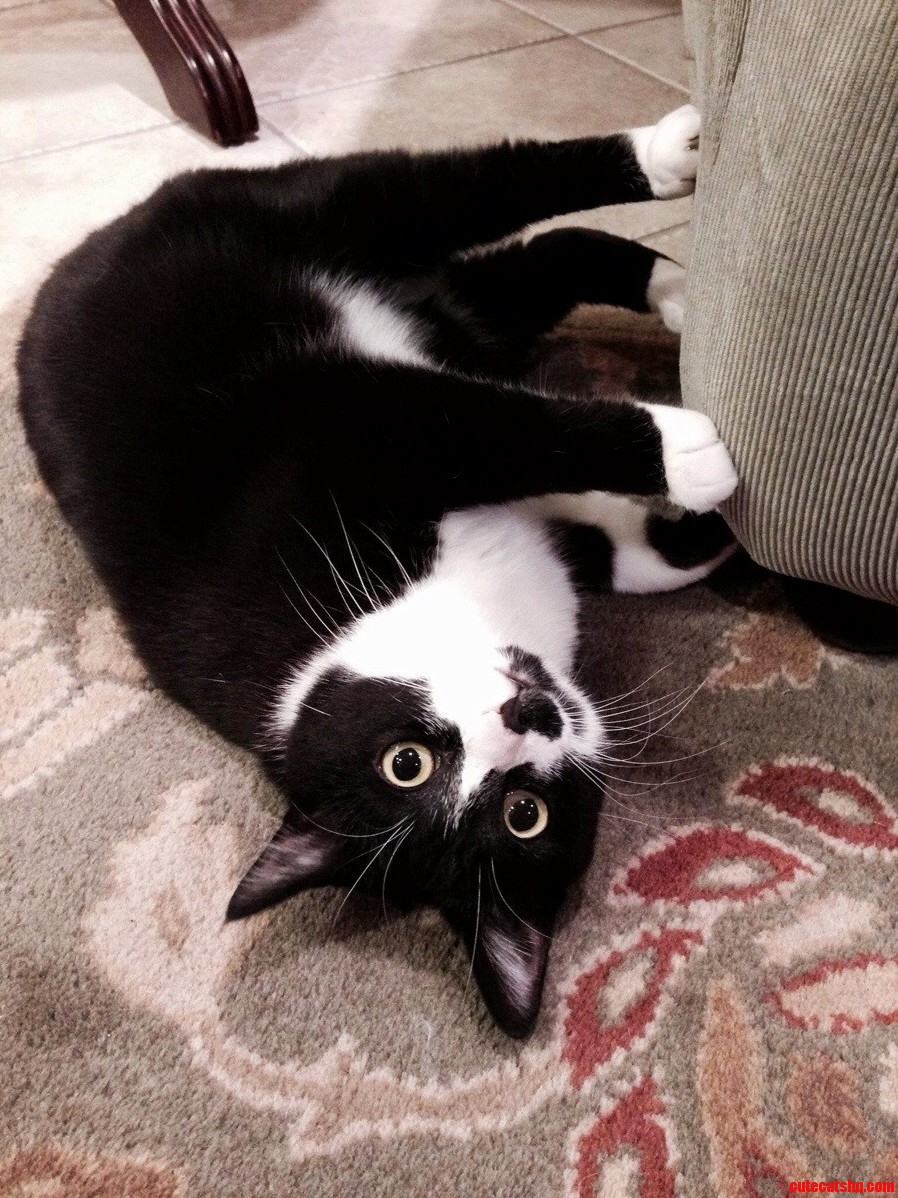 On Vacation and Missing This Little Troublemaker