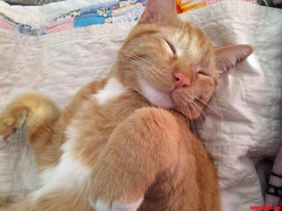 Our Little Man Taking a Nap
