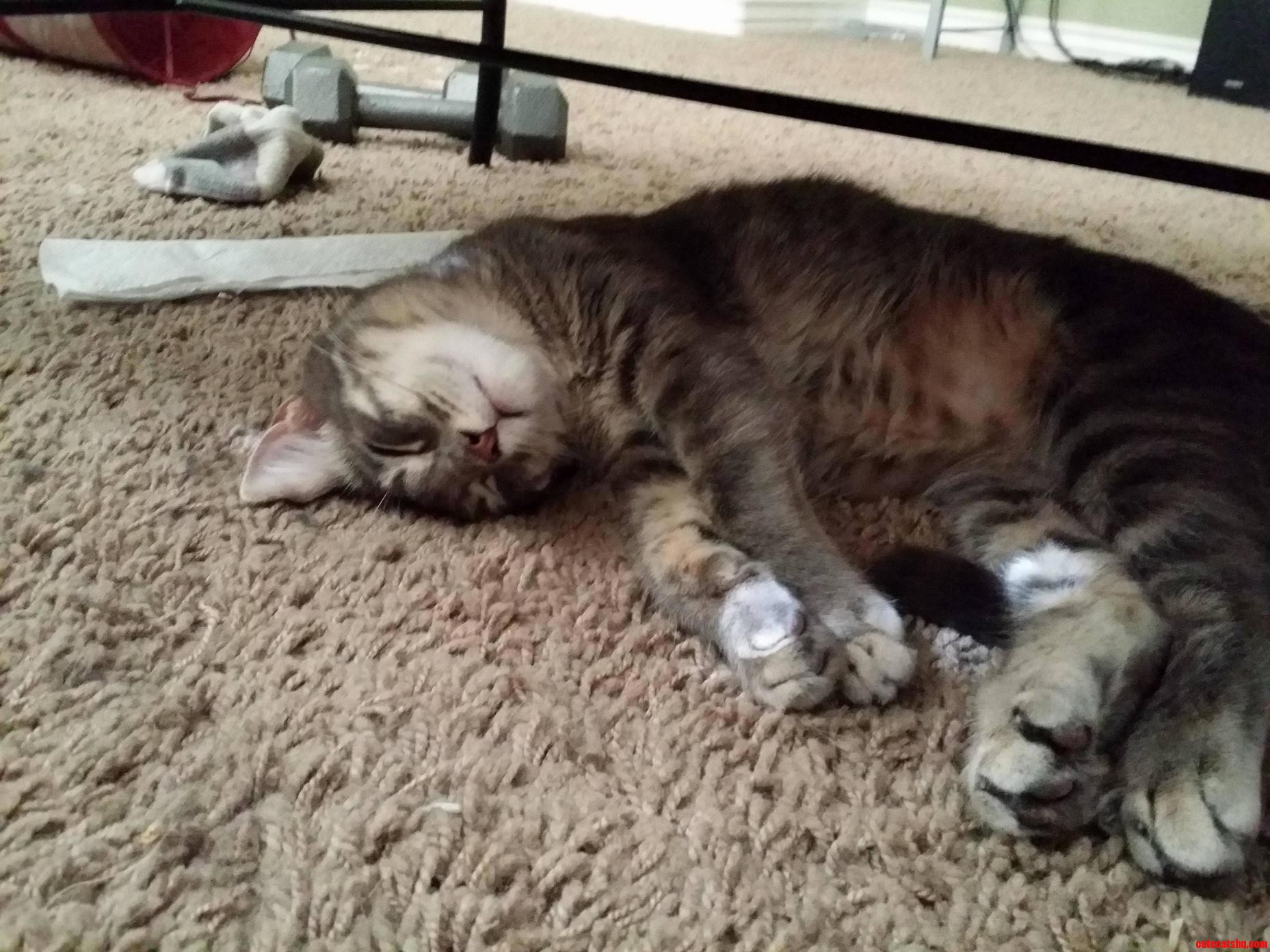 Our Little Niobe