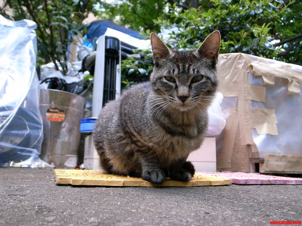Our Working Site Manager on Inspection