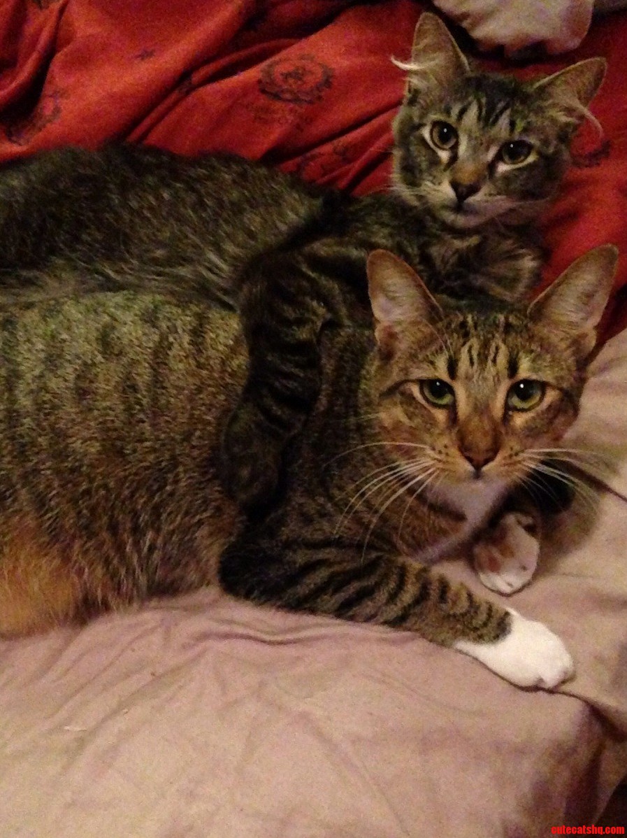 Partners in Crime and Best Friends Forever.