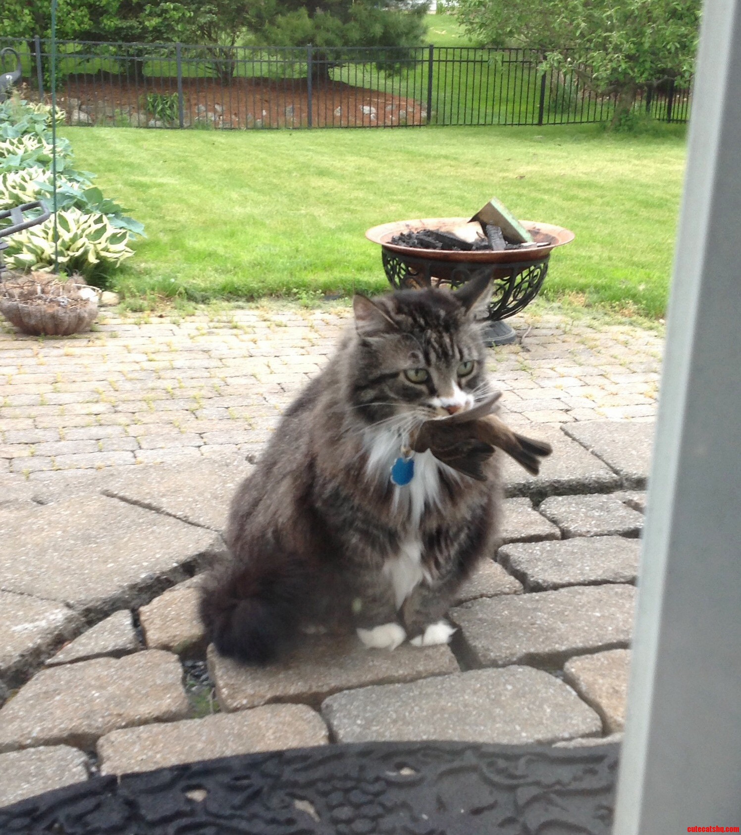 Please Let Me in I Come Bearing Gifts