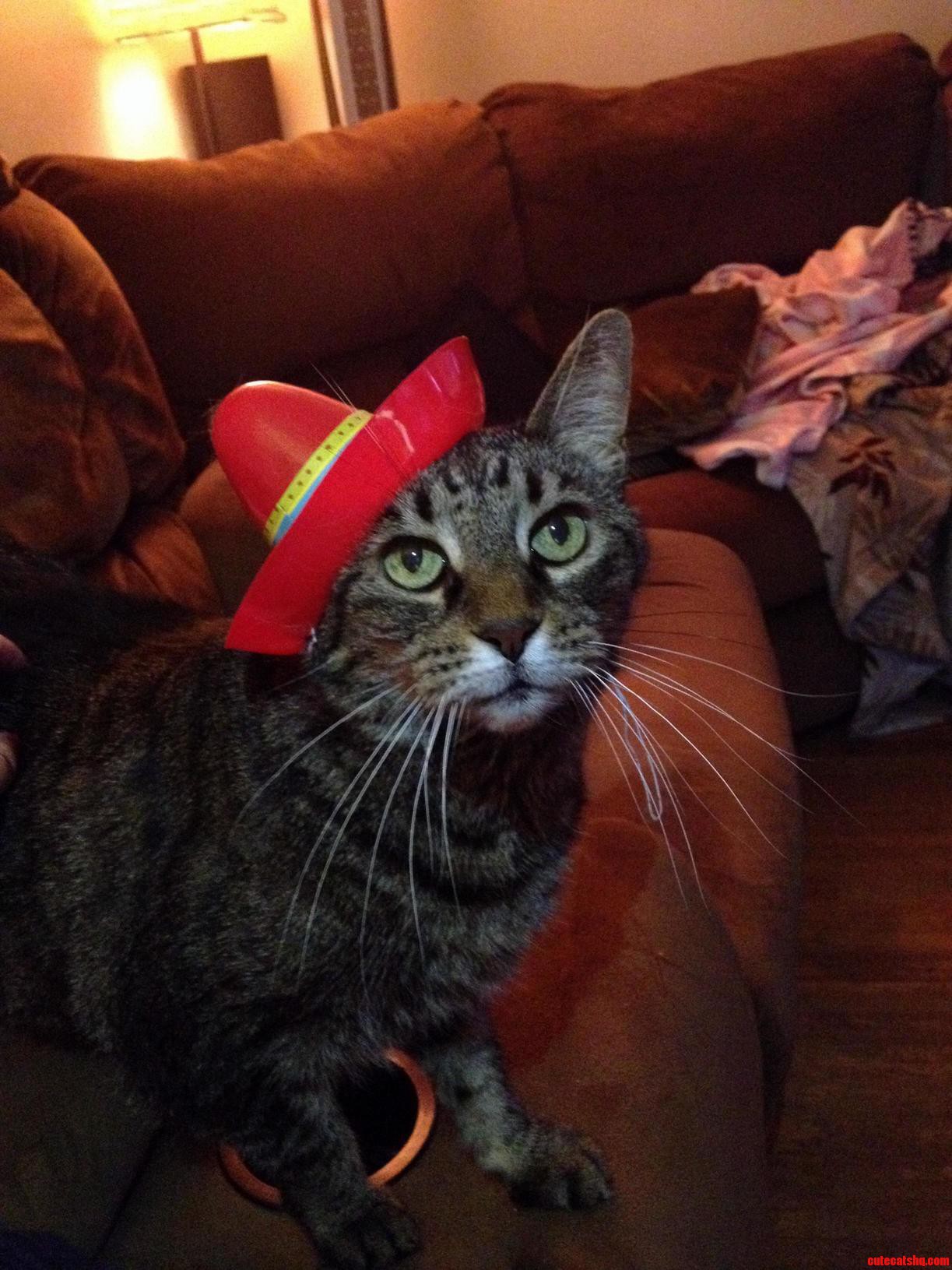 Pookie Wishing You All a Happy Cinco De Mayo