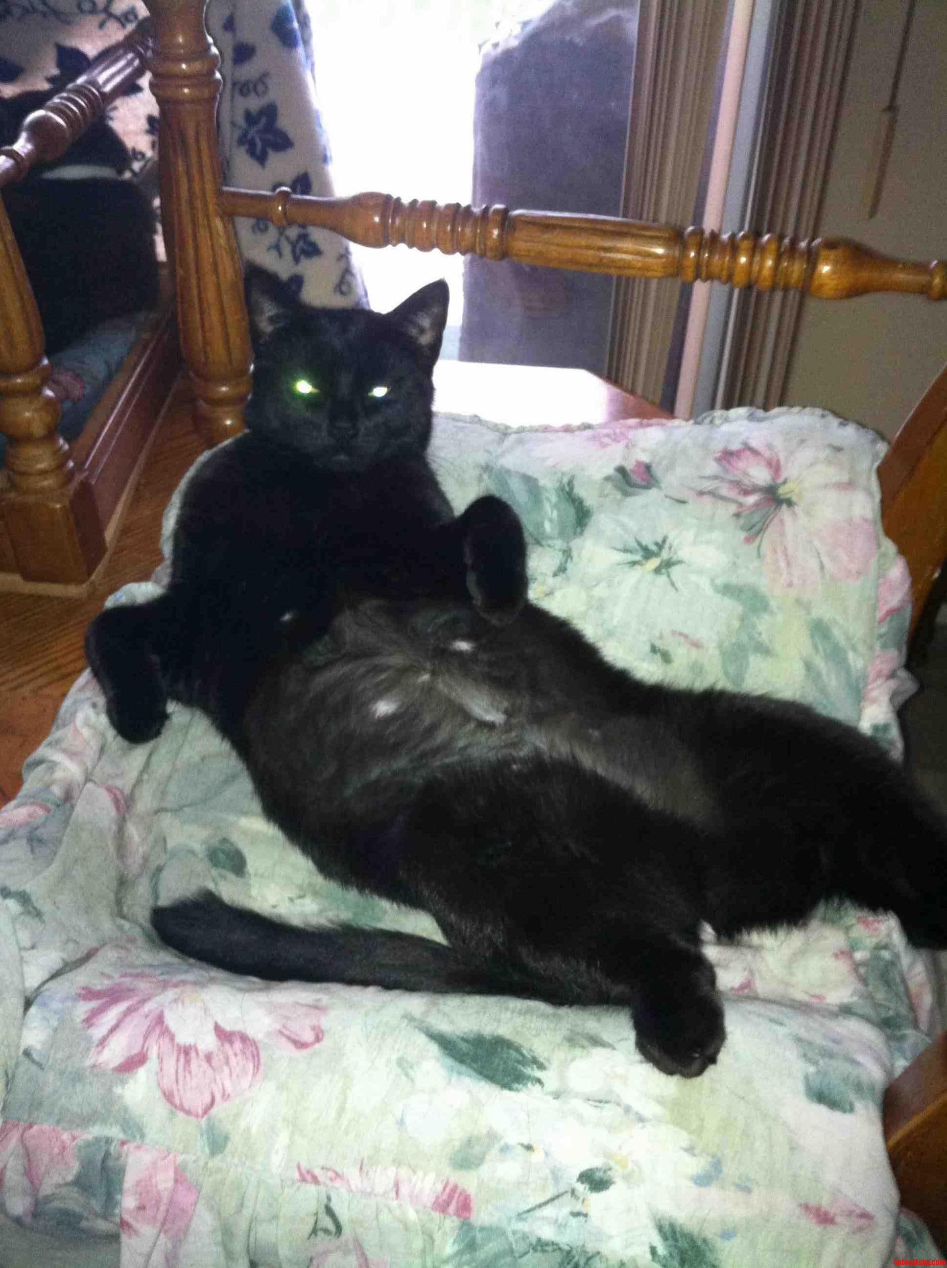 Sexy and I Know It