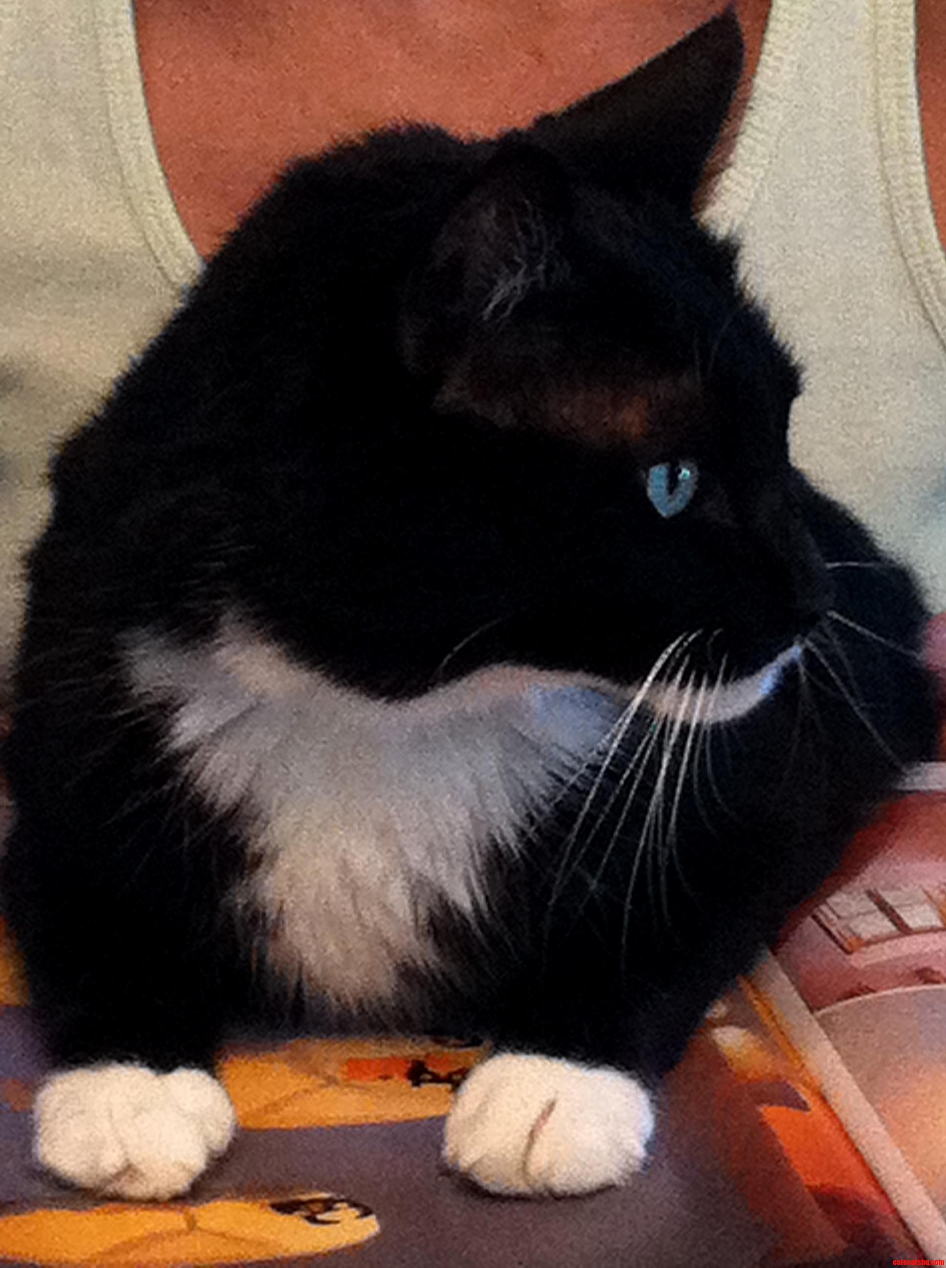 Shadow Helps Turn the Pages for Mommy but Then Gets Distracted.