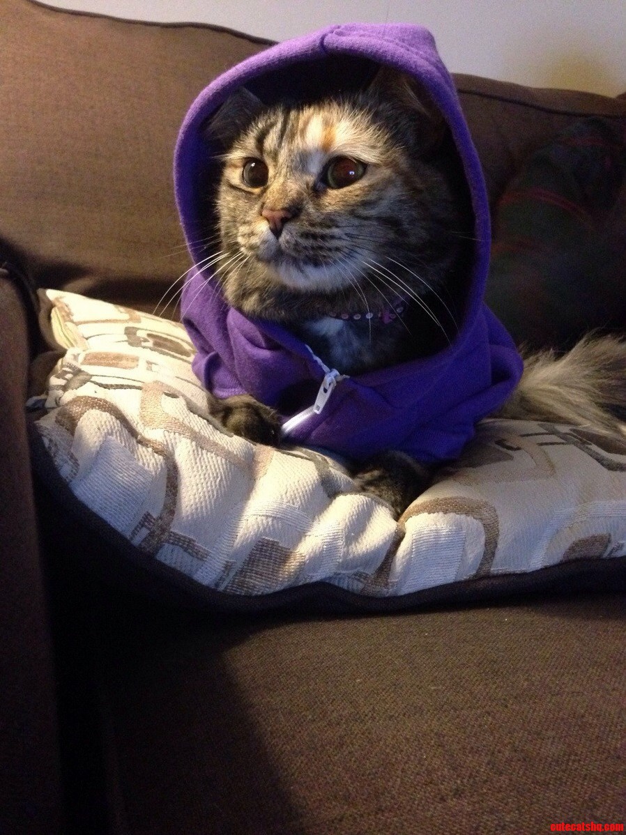 She Gets Cold This Time of Year So We Bought Her a Sweater