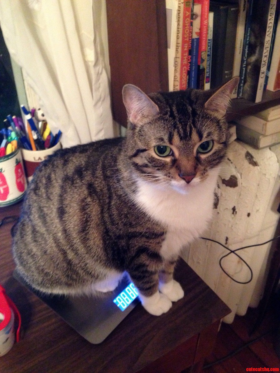 She Tips the Scale in Cuteness