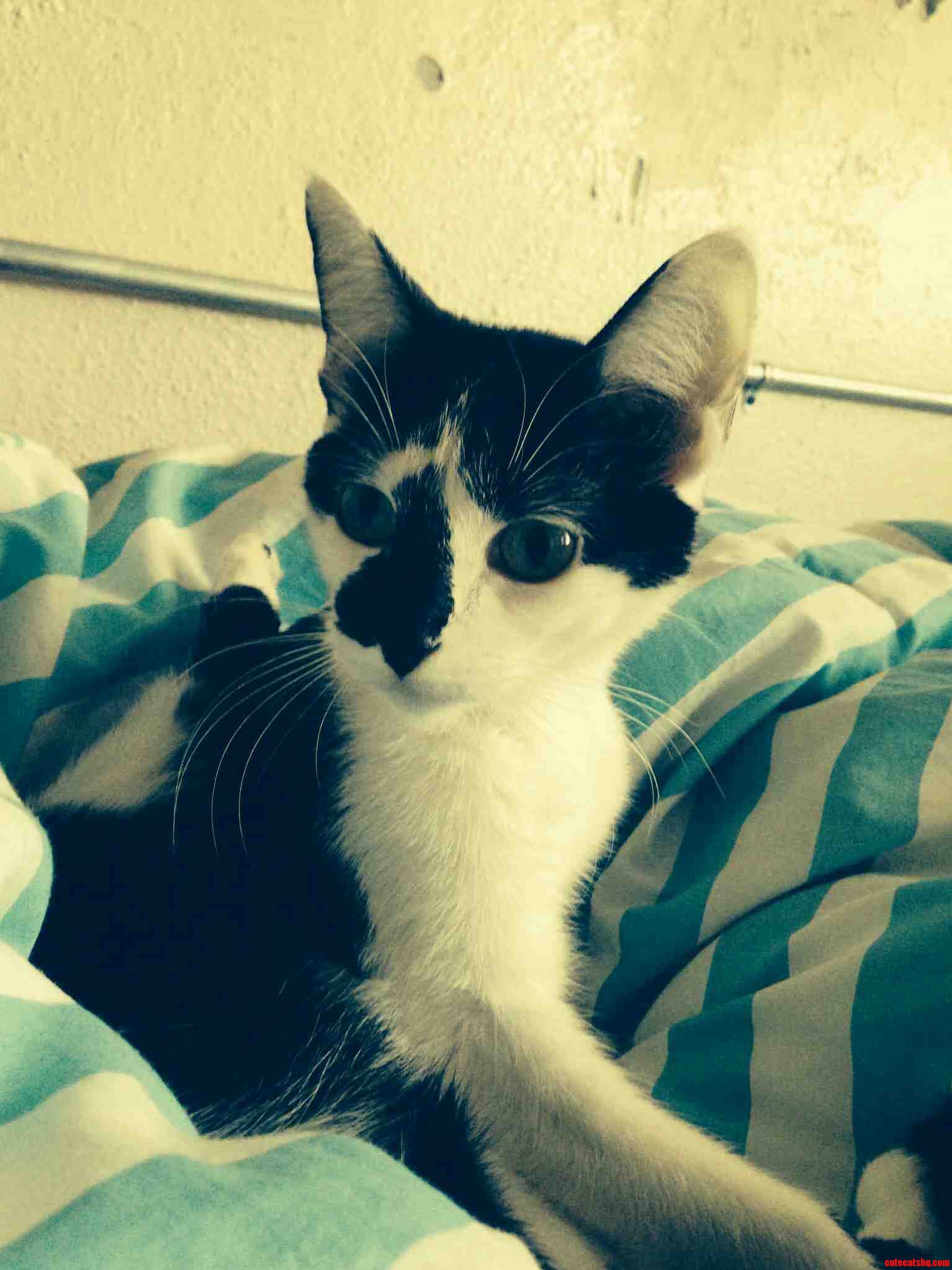 Shes a Year and a Half Old and Wont Get Any Bigger.