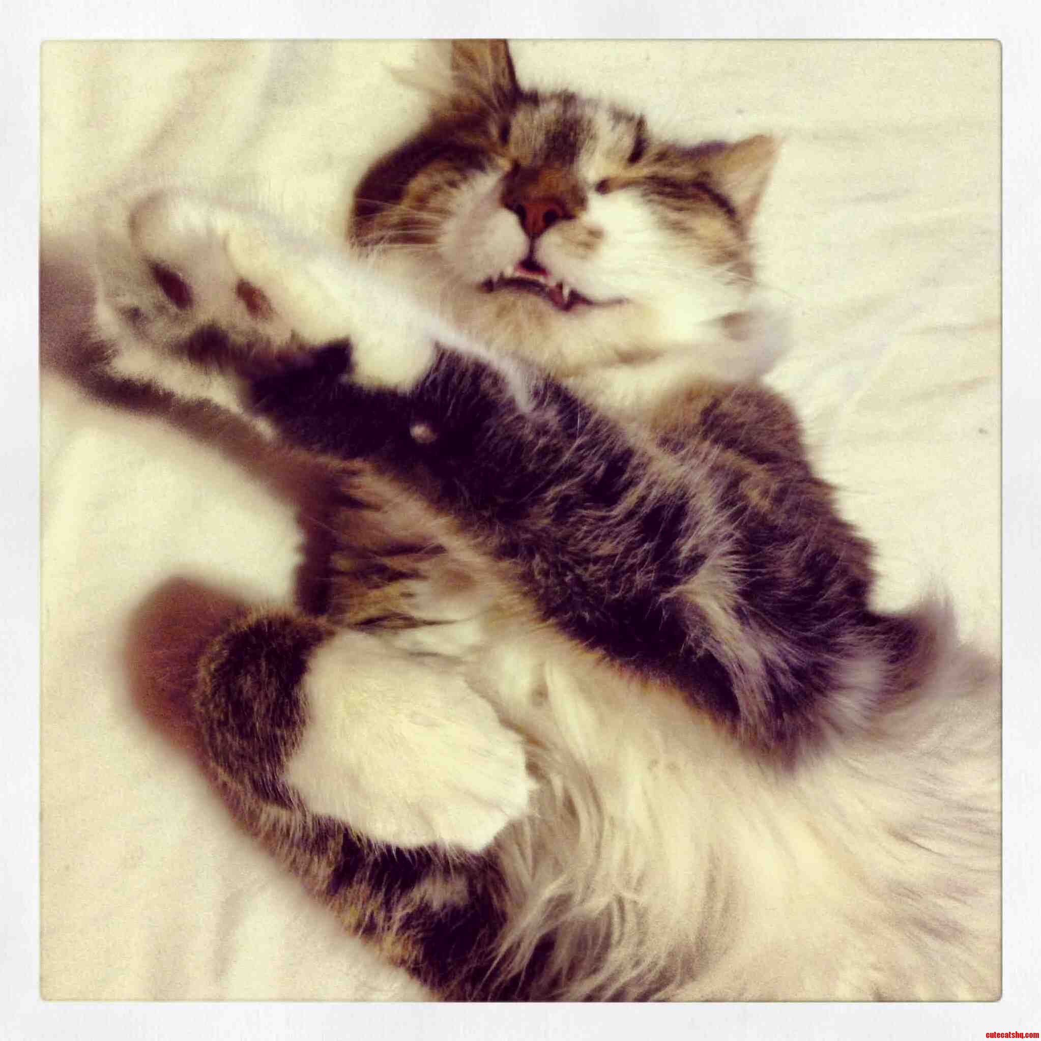 Sneezy and Snoring.