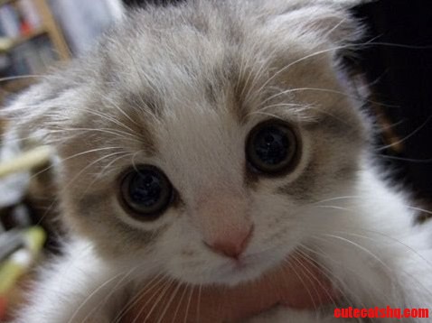 So Cuuuuuuuute