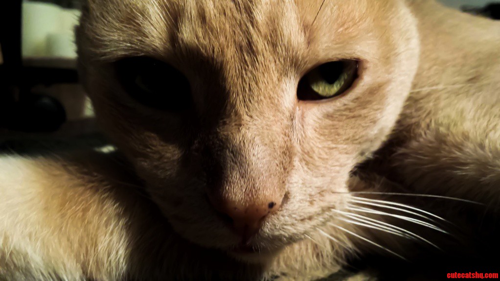 So Dark in That Eye. So Evilish. Aha